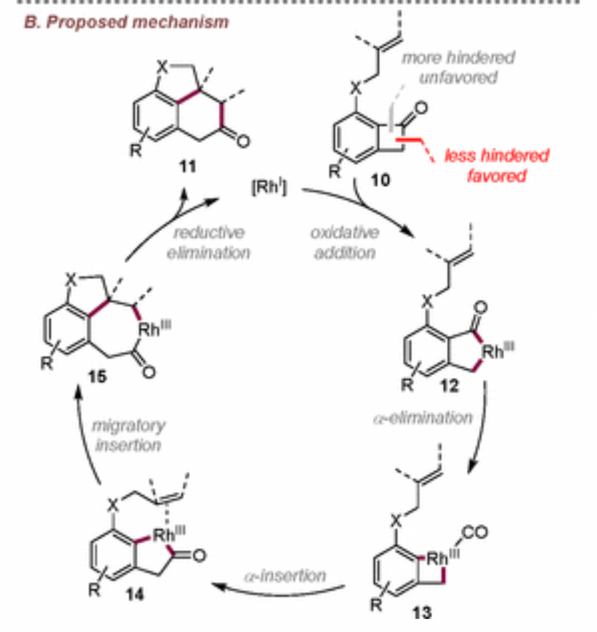 B. Proposed mechanism
15
Rh
R
migratory
insertion
14
11
reductive
elimination
Rhill
[Rh']
10
oxidative
addition
ce-insertion
more hindered
unfavored
less hindered
favored
R 12
a-elimination
Rhili
13
Rh
%₂