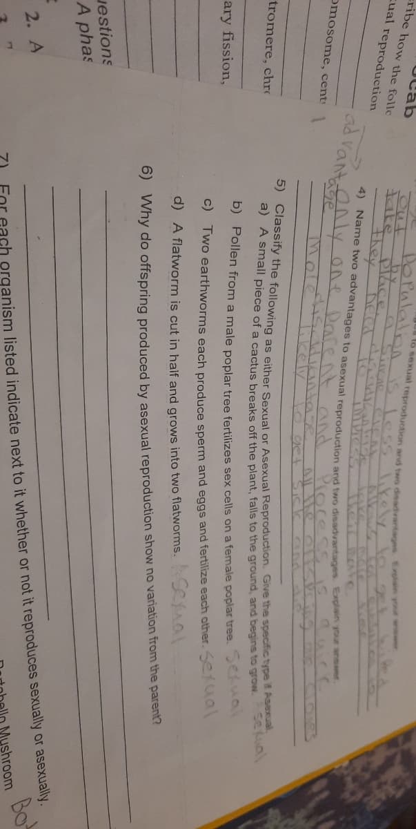 UCab
cribe how the follo
Out
take
they ne nge
Dorulalna B less likely
9SimC
cual reproduction
to gel
Piess
Their irAVC
ad Vant nly one Darent and
Pioces
omosome, cent
6ge
10gct Sick
) Classiry the following as either Sexual or Asexual Reproduction. Give the specific type if Aseal
A smal piece of a cactus breaks off the plant, falls to the ground, and begins to grow.
se Kual
tromere, chr
D) Pollen from a male poplar tree fertilizes sex cells on a female poplar tree. a
ary fission,
C) Two earthworms each produce sperm and eggs and fertilize each other. 5e aal
d) A flatworm is cut in half and grows into two flatworms. al
0) Why do offspring produced by asexual reproduction show no variation from the parent?
Jestions
A phas
each organism listed indicate next to it whether or not it reproduces sexually or asexually..
Mushroom
Bot
2. A
