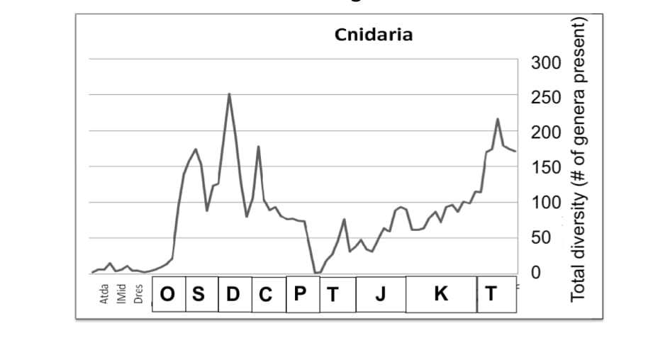 Atda
IMid
Dres
Cnidaria
и
OSDCPT JK
T
300
250
200
150
100
50
0
Total diversity (# of genera present)