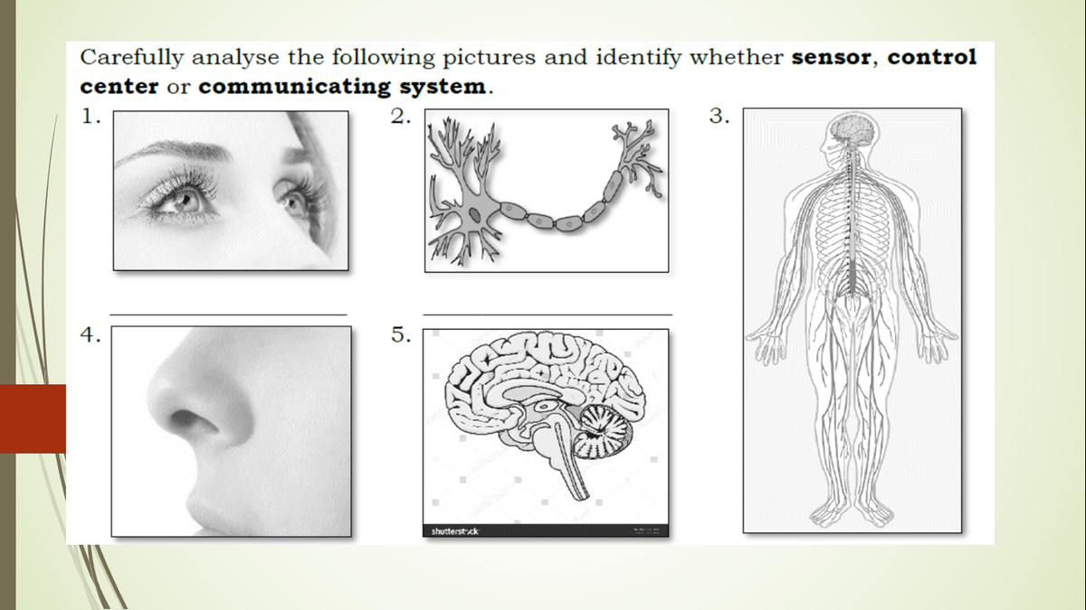 Carefully analyse the following pictures and identify whether sensor, control
center or communicating system.
1.
2.
3.
4.
shutterst.ck
5.
