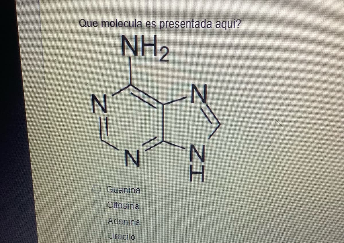 Que molecula es presentada aquí?
NH₂
N
N
Guanina
Citosina
Adenina
Uracilo
N
ZI