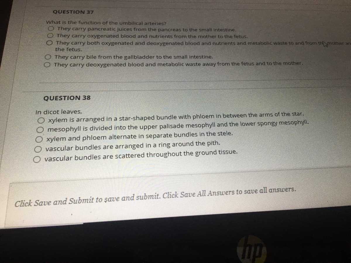 QUESTION 37
What is the function of the umbilical arteries?
O They carry pancreatic juices from the pancreas to the small intestine.
They carry oxygenated blood and nutrients from the mother to the fetus.
They carry both oxygenated and deoxygenated blood and nutrients and metabolic waste to and from th ymother an
the fetus.
O They carry bile from the gallbladder to the small intestine.
O They carry deoxygenated blood and metabolic waste away from the fetus and to the mother.
QUESTION 38
In dicot leaves,
O xylem is arranged in a star-shaped bundle with phloem in between the arms of the star.
mesophyll is divided into the upper palisade mesophyll and the lower spongy mesophyll.
xylem and phloem alternate in separate bundles in the stele.
vascular bundles are arranged in a ring around the pith.
O vascular bundles are scattered throughout the ground tissue.
Click Save and Submit to şave and submit. Click Save All Answers to save all answers.
