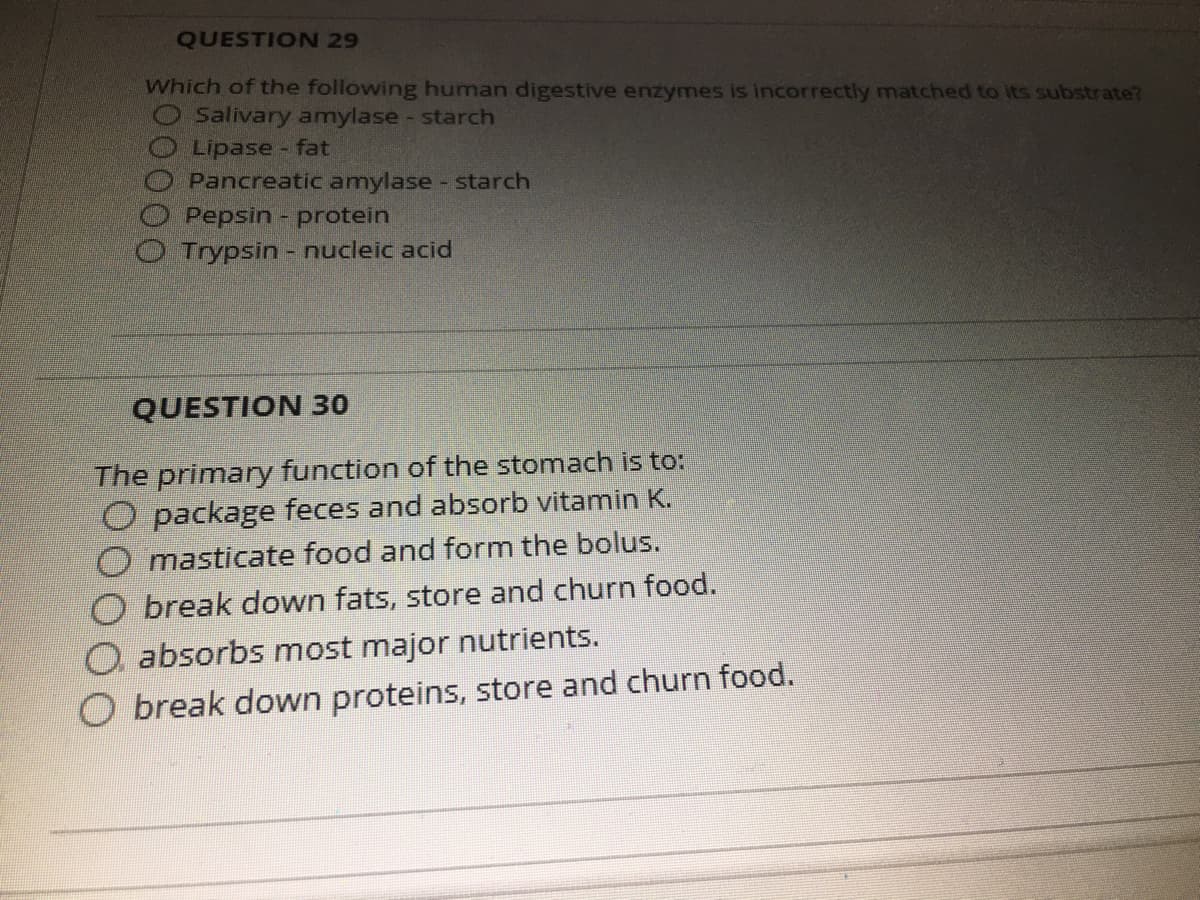 QUESTION 29
Which of the following human digestive enzymes is incorrectly matched to its substrate?
O Salivary amylase - starch
Lipase - fat
Pancreatic amylase - starch
Pepsin - protein
OTrypsin - nucleic acid
QUESTION 30
The primary function of the stomach is to:
O package feces and absorb vitamin K.
O masticate food and form the bolus.
O break down fats, store and churn food.
O absorbs most major nutrients.
O break down proteins, store and churn food.
