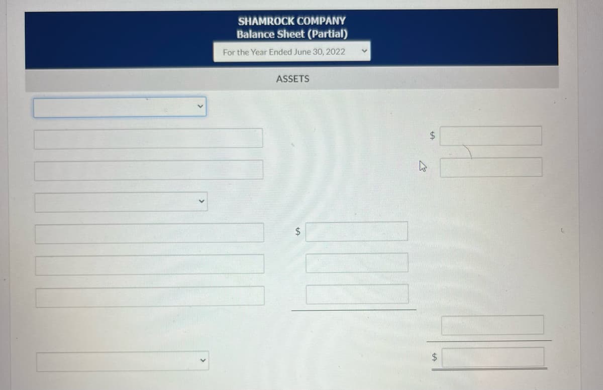 SHAMROCK COMPANY
Balance Sheet (Partial)
For the Year Ended June 30, 2022
ASSETS
$
$
$