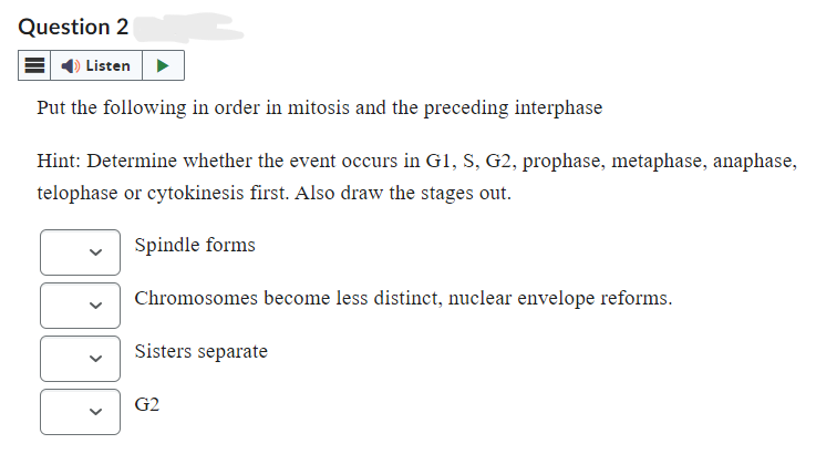 Question 2
Listen
Put the following in order in mitosis and the preceding interphase
Hint: Determine whether the event occurs in G1, S, G2, prophase, metaphase, anaphase,
telophase or cytokinesis first. Also draw the stages out.
Spindle forms
Chromosomes become less distinct, nuclear envelope reforms.
Sisters separate
G2