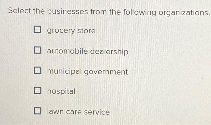 Select the businesses from the following organizations.
grocery store
automobile dealership
municipal government
hospital
lawn care service