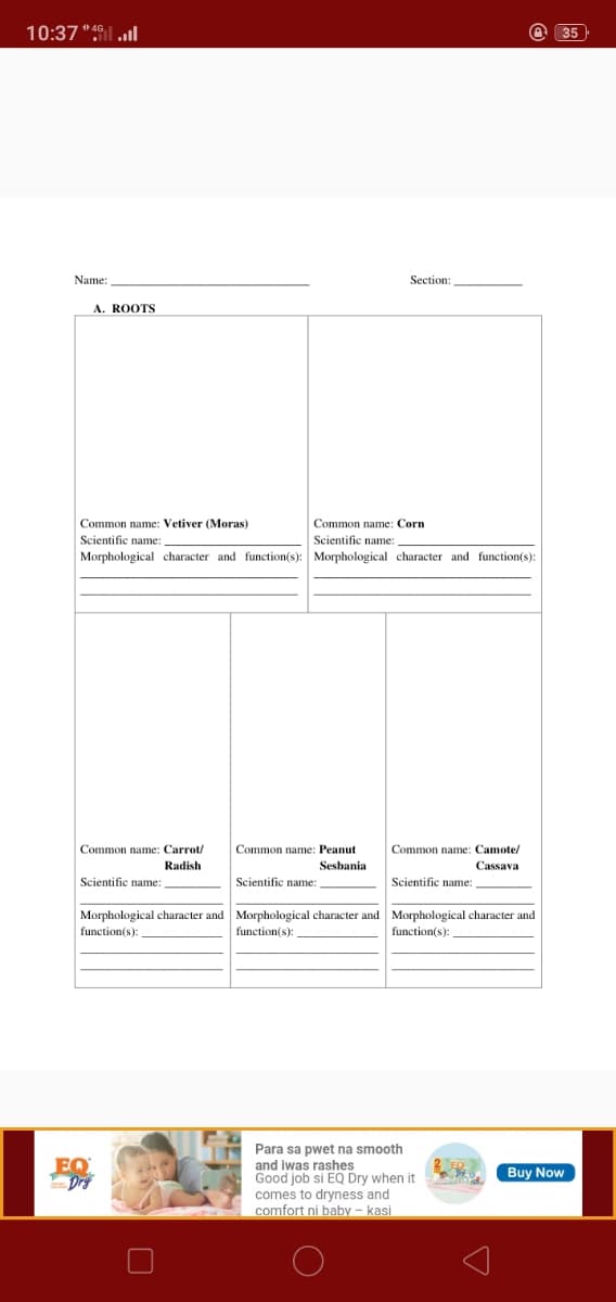 10:37 ":l ull
O 35
Name:
Section:
A. ROOTS
Common name: Vetiver (Moras)
Scientific name:
Common name: Corn
Scientific name:
Morphological character and function(s): Morphological character and function(s):
Common name: Carrot/
Common name: Peanut
Common name: Camote/
Radish
Sesbania
Cassava
Scientific name:
Scientific name:
Scientific name:
Morphological character and Morphological character and Morphological character and
function(s):
function(s):
function(s):
Para sa pwet na smooth
and iwas rashes
Good job si EQ Dry when it
comes to dryness and
comfort ni baby - kasi
EQ
Dry
Buy Now
