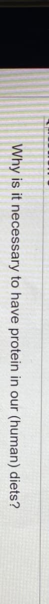 Why is it necessary to have protein in our (human) diets?
