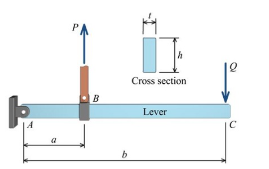 P
h
Cross section
B
Lever
C
a
b
