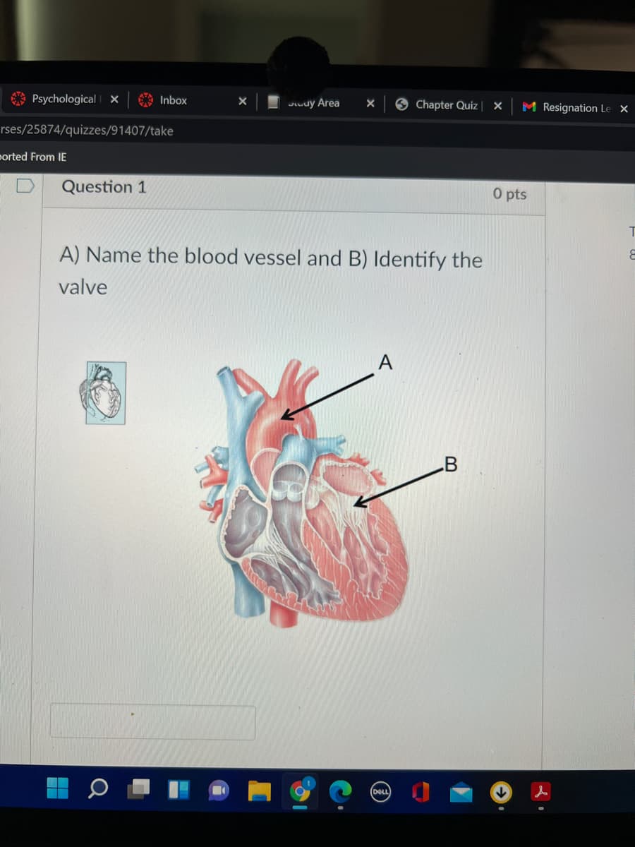 O PsychologicalE X
A Inbox
Juy Area
9 Chapter Qui |
M Resignation Le X
rses/25874/quizzes/91407/take
ported From IE
Question 1
O pts
A) Name the blood vessel and B) Identify the
valve
A
.B
(DELL
