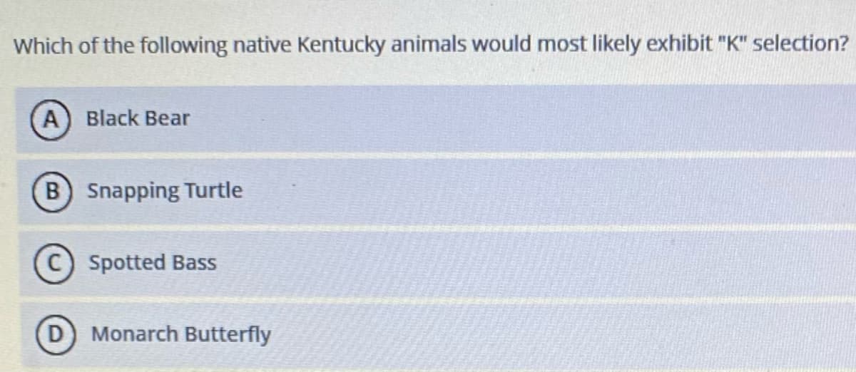 Which of the following native Kentucky animals would most likely exhibit "K" selection?
A) Black Bear
B) Snapping Turtle
Spotted Bass
Monarch Butterfly
