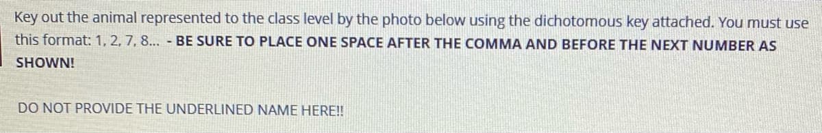 Key out the animal represented to the class level by the photo below using the dichotomous key attached. You must use
this format: 1, 2, 7, 8... - BE SURE TO PLACE ONE SPACE AFTER THE COMMA AND BEFORE THE NEXT NUMBER AS
SHOWN!
DO NOT PROVIDE THE UNDERLINED NAME HERE!

