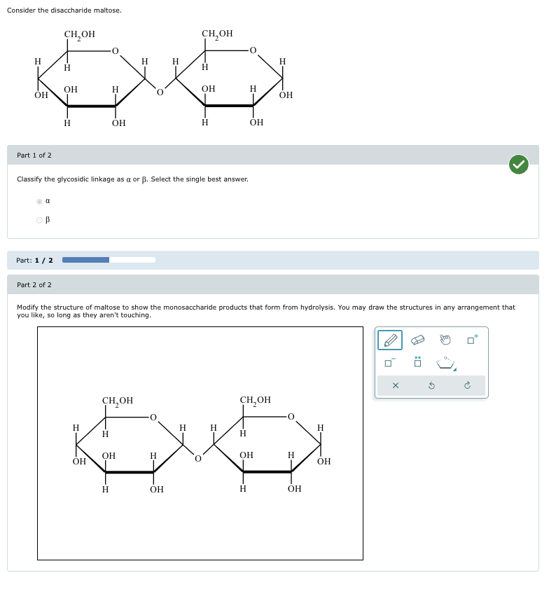 Consider the disaccharide maltose.
Снон
H
H
OH
H
Он
Part 1 of 2
Сн, он
Н
H
Н
Н
он
H
Он
H
Он
H
Он
Classify the glycosidic linkage as a or ẞ. Select the single best answer.
α
Part: 1/2
Part 2 of 2
Modify the structure of maltose to show the monosaccharide products that form from hydrolysis. You may draw the structures in any arrangement that
you like, so long as they aren't touching.
H
CH₂OH
Н
-=
о
Он
H
ОН
снон
Н
H
H
Н
OH
Н
он
H
OH
H
Он
х