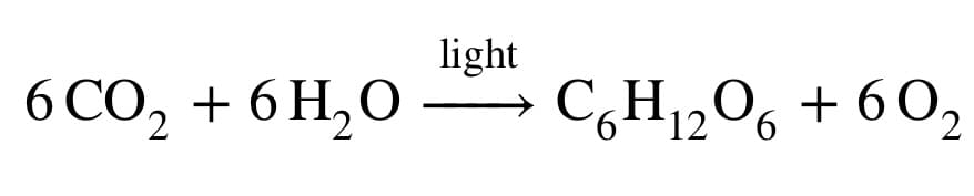 6CO2 + 6H₂O
light
C6H₁2O6 + 602
12