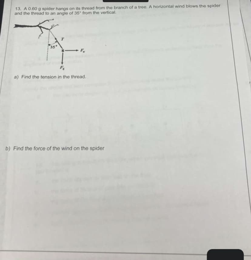 13. A 0.60 g spider hangs on its thread from the branch of a tree. A horizontal wind blows the spider
and the thread to an angle of 35° from the vertical.
a) Find the tension in the thread.
b) Find the force of the wind on the spider