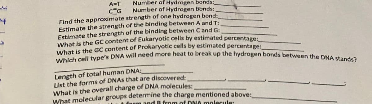 Which cell type's DNA will need more heat to break up the hydrogen bonds between the DNA stands?
Number of Hydrogen bonds:
Number of Hydrogen bonds:
A=T
CG
Find the approximate strength of one hydrogen bond:
Estimate the strength of the binding between A and T:
Estimate the strength of the binding between C and G:
What is the GC content of Eukaryotic cells by estimated percentage:
What is the GC content of Prokaryotic cells by estimated percentage:
Length of total human DNA:
List the forms of DNAS that are discovered:
What is the overall charge of DNA molecules:
What molecular groups determine the charge mentioned above:
arm and R from of ONA molecule:
