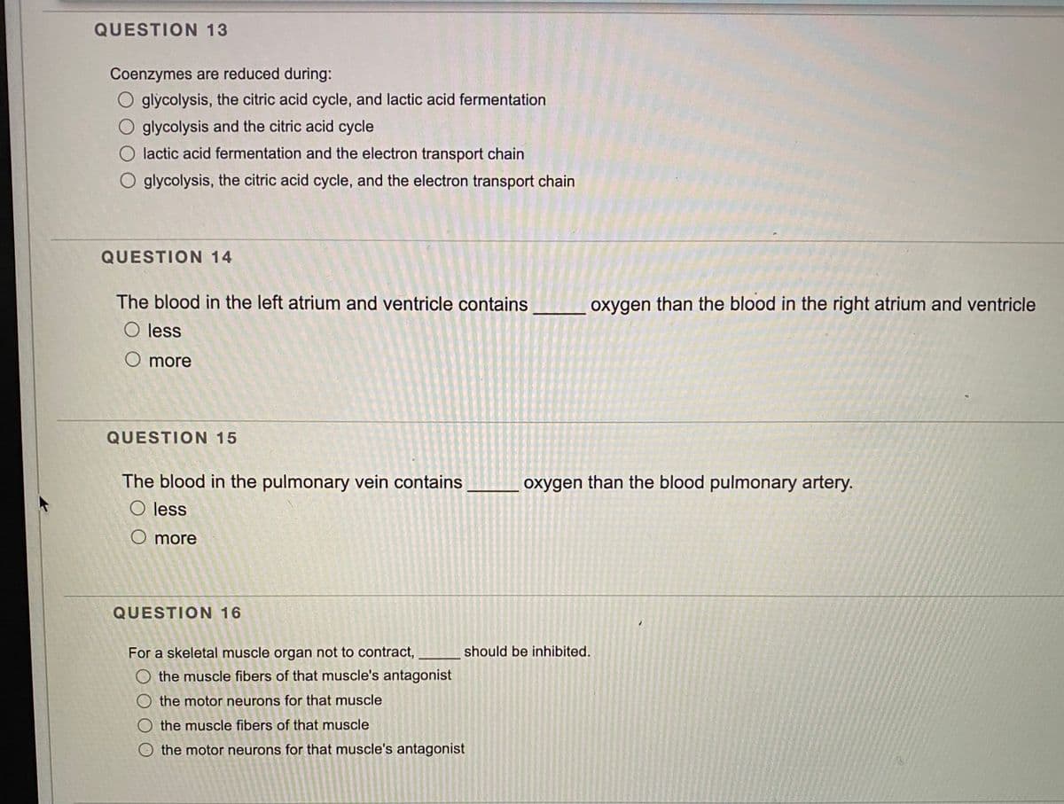 QUESTION 13
Coenzymes are reduced during:
O glycolysis, the citric acid cycle, and lactic acid fermentation
glycolysis and the citric acid cycle
O lactic acid fermentation and the electron transport chain
glycolysis, the citric acid cycle, and the electron transport chain
QUESTION 14
The blood in the left atrium and ventricle contains
oxygen than the blood in the right atrium and ventricle
O less
O more
QUESTION 15
The blood in the pulmonary vein contains
oxygen than the blood pulmonary artery.
O less
O more
QUESTION 16
For a skeletal muscle organ not to contract,
should be inhibited.
the muscle fibers of that muscle's antagonist
O the motor neurons for that muscle
O the muscle fibers of that muscle
O the motor neurons for that muscle's antagonist
