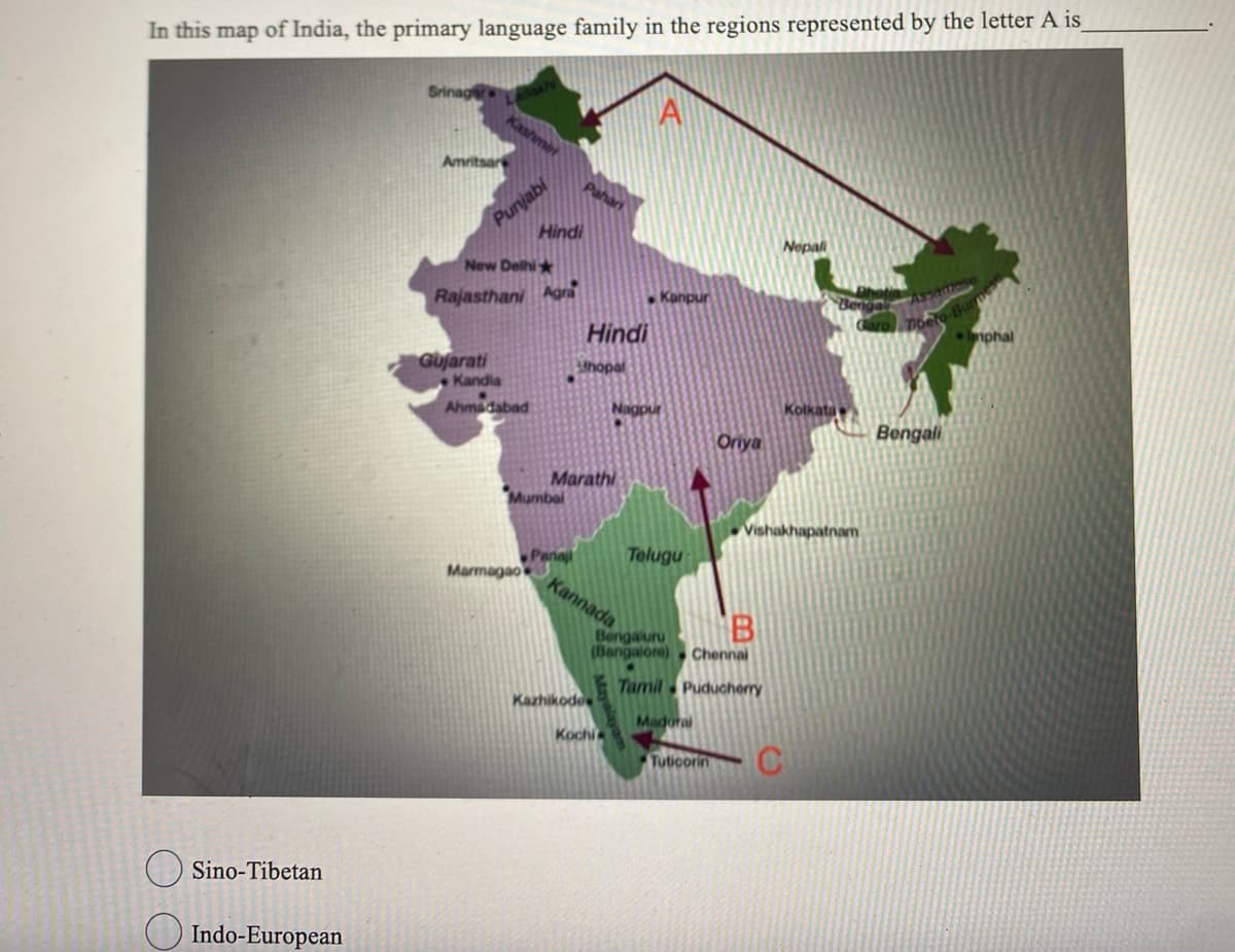 In this map of India, the primary language family in the regions represented by the letter A is_
Sino-Tibetan
Indo-European
ritsar
Punjabi
Gujarati
New Delhi
Rajasthani Agra
Kandla
Ahmadabad
Hindi
Marmagao
Mumbai
authopal
Hindi
Marathi
Panaji
Kazhikode
Kannada
A
Nagpur
Kochi
Kanpur
Telugu
Oriya
B
Bengaluru
(Bangalore) Chennai
Tamil Puducherry
Madurai
Tuticorin
Nepali
Kolkata
Vishakhapatnam
Bengali
Imphal