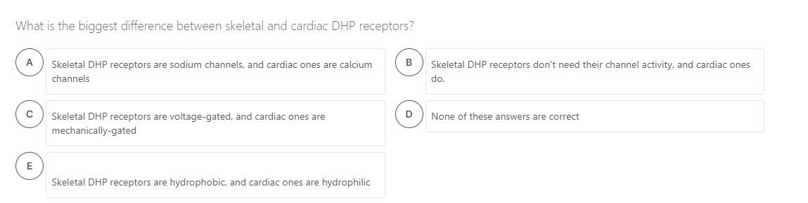 What is the biggest difference between skeletal and cardiac DHP receptors?
A
Skeletal DHP receptors are sodium channels, and cardiac ones are calcium
B
Skeletal DHP receptors don't need their channel activity, and cardiac ones
channels
do.
Skeletal DHP receptors are voltage-gated, and cardiac ones are
D
None of these answers are correct
mechanically-gated
E
Skeletal DHP receptors are hydrophobic, and cardiac ones are hydrophilic
