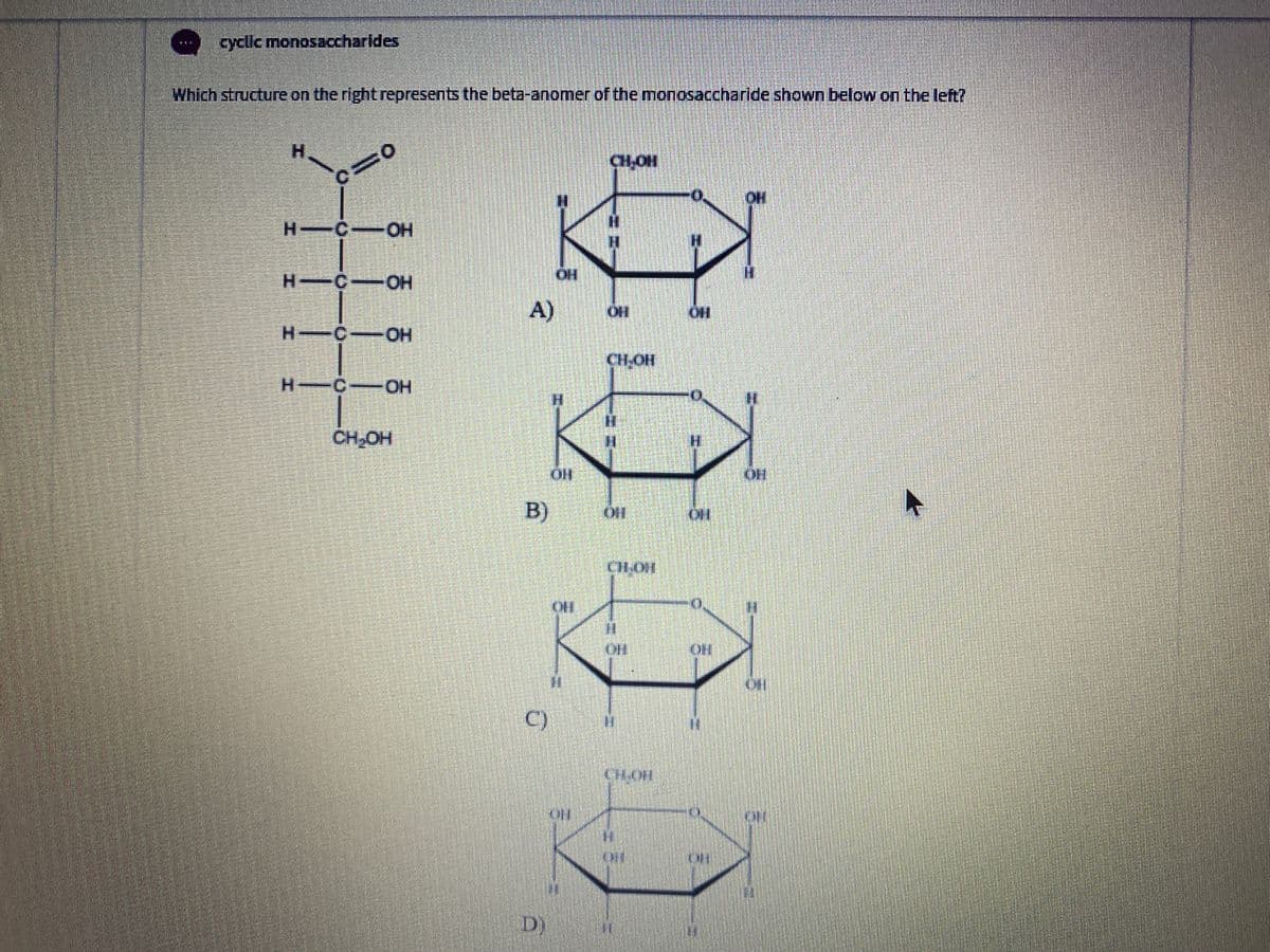 cyclic monosaccharides
Which structure on the right represents the beta-anomer of the monosaccharide shown below on the left?
H.
CH-OH
OH
H C-OH
%3D
H COH
HO-
A)
HO.
H-C-0H
HO.
CHOH
H C--0H
HO.
H.
O.
%3D
CH,OH
H.
B)
CH-OH
%3D
C)
CHOH
D)
