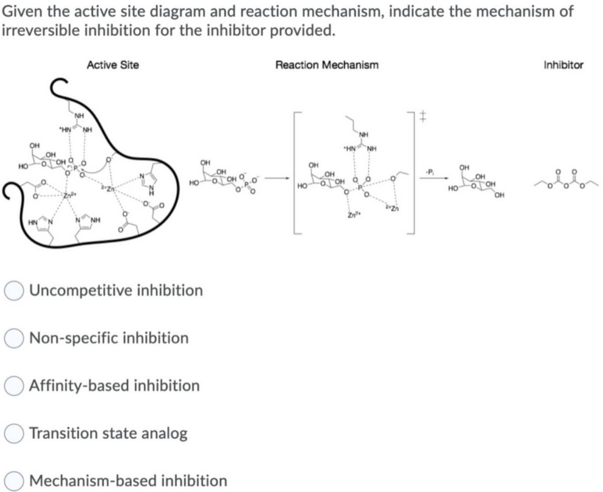 Given the active site diagram and reaction mechanism, indicate the mechanism of
irreversible inhibition for the inhibitor provided.
HO
OH
OH
NH
Active Site
*HN NH
NH
HO
Uncompetitive inhibition.
Non-specific inhibition.
Affinity-based inhibition
Transition state analog
OH
OH
o[
Mechanism-based inhibition
Reaction Mechanism
NH
HN ΝΗ
OH
OH
[at] ut
OH
-P₁
OH
HO
OOH
HO
OH
Inhibitor