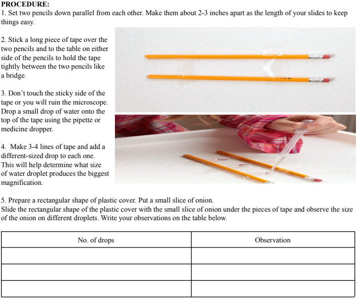 PROCEDURE:
1. Set two pencils down parallel from each other. Make them about 2-3 inches apart as the length of your slides to keep
things easy.
2. Stick a long piece of tape over the
two pencils and to the table on either
side of the pencils to hold the tape
tightly between the two pencils like
a bridge.
3. Don’t touch the sticky side of the
tape or you will ruin the microscope.
Drop a small drop of water onto the
top of the tape using the pipette or
medicine dropper.
4. Make 3-4 lines of tape and add a
different-sized drop to each one.
This will help determine what size
of water droplet produces the biggest
magnification.
5. Prepare a rectangular shape of plastic cover. Put a small slice of onion.
Slide the rectangular shape of the plastic cover with the small slice of onion under the pieces of tape and observe the size
of the onion on different droplets. Write your observations on the table below.
No. of drops
Observation
