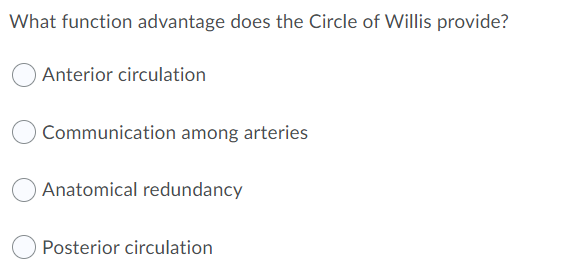 What function advantage does the Circle of Willis provide?
Anterior circulation
Communication among arteries
Anatomical redundancy
Posterior circulation
