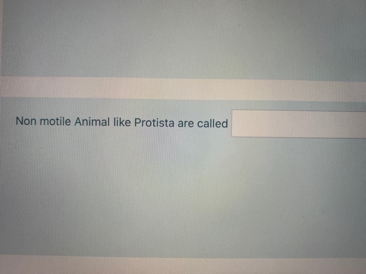 Non motile Animal like Protista are called
