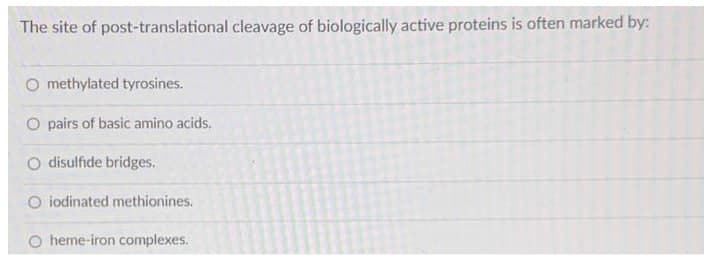 The site of post-translational cleavage of biologically active proteins is often marked by:
methylated tyrosines.
O pairs of basic amino acids.
disulfide bridges.
O iodinated methionines.
heme-iron complexes.
