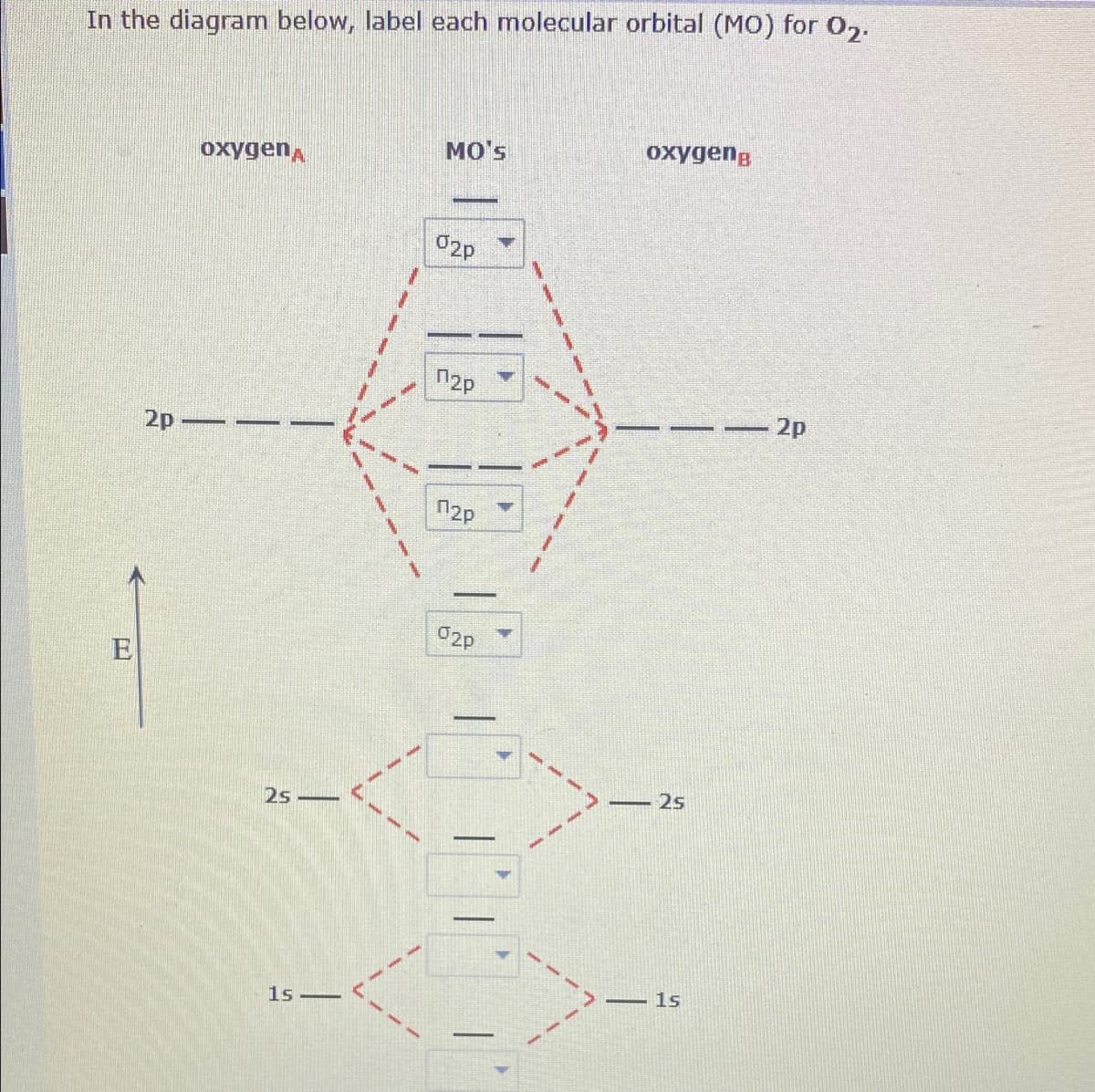 In the diagram below, label each molecular orbital (MO) for O,.
oxygen,
MO's
oxygeng
2p
2p
- 2p
--
12p
E
25 –
25
1s -
-1s
