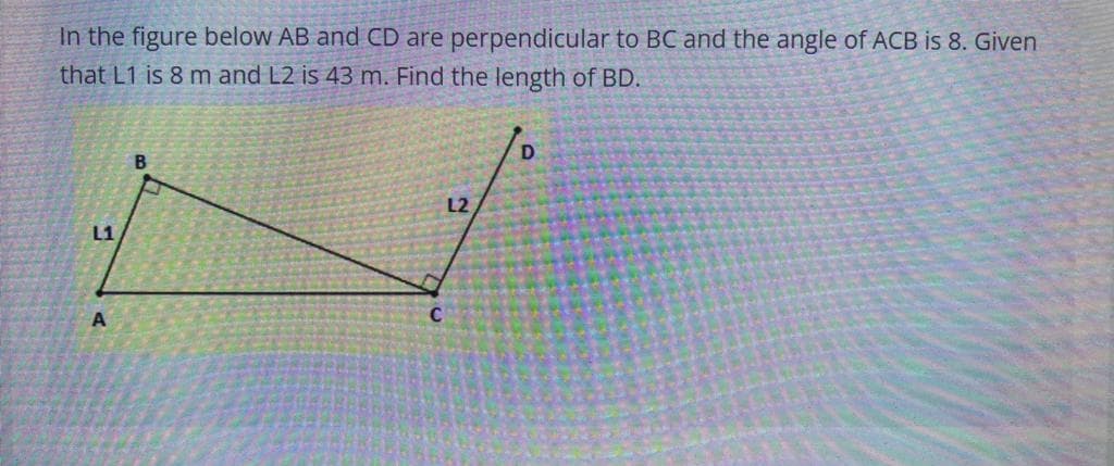 In the figure below AB and CD are perpendicular to BC and the angle of ACB is 8. Given
that L1 is 8 m and L2 is 43 m. Find the length of BD.
L2
L1
