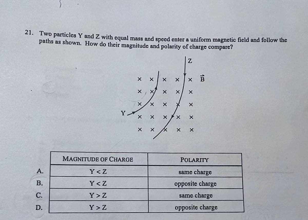 21. Two particles Y and Z with equal mass and speed enter a uniform magnetic field and follow the
paths as shown. How do their magnitude and polarity of charge compare?
A.
B.
C.
D.
Y
MAGNITUDE OF CHARGE
Y<Z
Y<Z
Y>Z
Y>Z
X
X
X
X
X
X
X
X
X X
X
X
X
X
X
X
X
X
N
х в
X
X
X
POLARITY
same charge
opposite charge
same charge
opposite charge