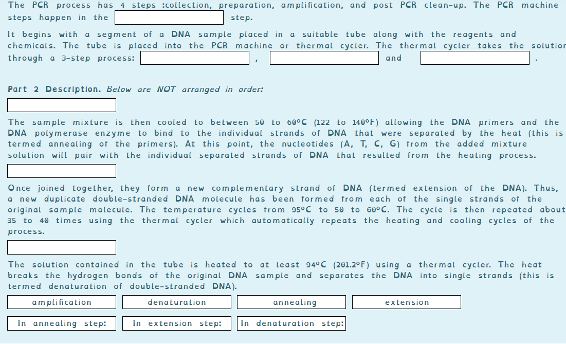 The PCR process has 4 steps :collection, preparation, amplification, and post PCR clean-up. The PCR machine
steps happen in the
step.
It begins with
chemicals. The tube is placed into the PCR machine or thermal cycler. The thermal cycler takes the solutior
a segment of a
DNA sample placed in
a suitable tube along with the reagents and
through a 3-step process:
and
Part 2 Descriptlon. Below are NOT arranged in order:
The sample mixture
DNA polymerase enzyme to bind to the individual strands of DNA that were separated by the heat (this is
termed annealing of the primers). At this point, the nucleotides (A, T, C, G) from the added mixture
solution will pair with the individual separated strands of
is
then cooled to between 50 to 60°C (122 to 140°F) allowing the DNA primers and the
DNA that resulted from the heating process.
Once joined together, they form a
new duplicate double-stranded DNA molecule has been formed from each of the single strands of the
original sam ple molecule. The temperature cycles from 95°C to 50 to 60°C. The cycle is then repeated about
35 to 40 times using the thermal cycler which automatically repeats the heating and cooling cycles of the
new complementary strand of DNA (termed extension of the DNA). Thus,
process.
The solution contained in the tube is heated to at least 94°C (201.2°F) using a thermal cycler. The heat
breaks the hydrogen bonds of the original DNA sample and separates the DNA into single strands (this is
termed denaturation of double-stranded DNA).
amplification
denaturation
annealing
extension
In annealing step:
In extension step:
In denaturation step:
