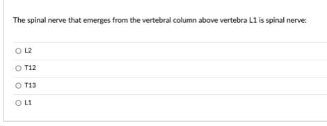 The spinal nerve that emerges from the vertebral column above vertebra L1 is spinal nerve:
L2
O T12
O T13
O L1
