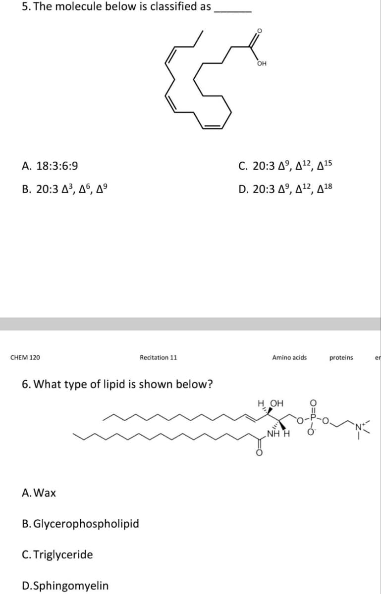 5. The molecule below is classified as
OH
A. 18:3:6:9
C. 20:3 Δ , Δ12, Δ15
B. 20:3 A³, Aº, Aº
D. 20:3 Δ, Δ12, Δ18
CHEM 120
Recitation 11
Amino acids
proteins
er
6. What type of lipid is shown below?
H OH
NH H
A. Wax
B. Glycerophospholipid
C. Triglyceride
D.Sphingomyelin
