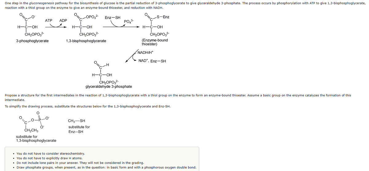 One step in the gluconeogenesis pathway for the biosynthesis of glucose is the partial reduction of 3-phosphoglycerate to give glyceraldehyde 3-phosphate. The process occurs by phosphorylation with ATP to give 1,3-bisphosphoglycerate,
reaction with a thiol group on the enzyme to give an enzyme-bound thioester, and reduction with NADH.
-OPO3²- Enz-SH
H-C-OH
ATP
CH₂OPO3²-
3-phosphoglycerate
O
0-0--0
O
ADP
CH₂CH3
substitute for
1,3-bisphosphoglycerate
C
H-C-OH
CH₂OPO3²-
1,3-bisphosphoglycerate
O=C
CH3-SH
substitute for
Enz-SH
H
H-C-OH
|
CH₂OPO3²-
PO4³-
O.
S-Enz
H-C-OH
glyceraldehyde 3-phosphate
Propose a structure for the first intermediates in the reaction of 1,3-bisphosphoglycerate with a thiol group on the enzyme to form an enzyme-bound thioester. Assume a basic group on the enzyme catalyzes the formation of this
intermediate.
To simplify the drawing process, substitute the structures below for the 1,3-bisphosphoglycerate and Enz-SH.
CH₂OPO3²-
(Enzyme-bound
thioester)
NADH/H*
NAD*, Enz-SH
•
You do not have to consider stereochemistry.
• You do not have to explicitly draw H atoms.
• Do not include lone pairs in your answer. They will not be considered in the grading.
• Draw phosphate groups, when present, as in the question: in basic form and with a phosphorous oxygen double bond.