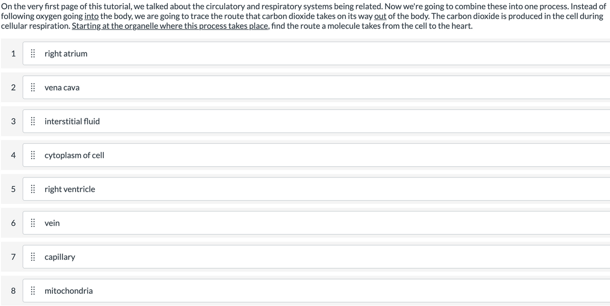 On the very first page of this tutorial, we talked about the circulatory and respiratory systems being related. Now we're going to combine these into one process. Instead of
following oxygen going into the body, we are going to trace the route that carbon dioxide takes on its way out of the body. The carbon dioxide is produced in the cell during
cellular respiration. Starting at the organelle where this process takes place, find the route a molecule takes from the cell to the heart.
right atrium
vena cava
3
| interstitial fluid
cytoplasm of cell
5
| right ventricle
6
vein
7
| capillary
8
E mitochondria
::::
4.
