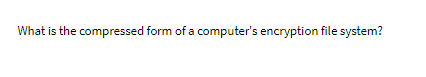 What is the compressed form of a computer's encryption file system?
