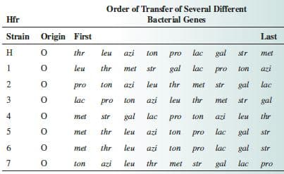 Order of Transfer of Several Different
Hfr
Bacterial Genes
Strain Origin First
Last
Н
thr
leu
azi
ton
pro
lac
gal
str
met
leu
thr
met
str
gal
lac
pro
ton
azi
pro
ton
azi
leu
thr
met
str
gal
lac
3
lac
pro
ton
azi
leu
thr
met
gal
str
4
met
str
gal
lac
pro
ton
azi
leu
thr
met
thr
leu
azi
ton
pro
lac
gal
str
met
thr
leu
azi
ton
pro
lac
gal
str
ton
azi
leu
thr
met
str
gal
lac
pro
