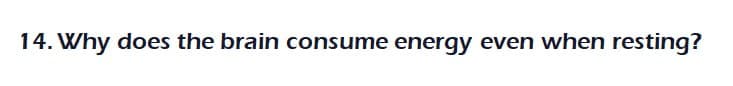14. Why does the brain consume energy even when resting?