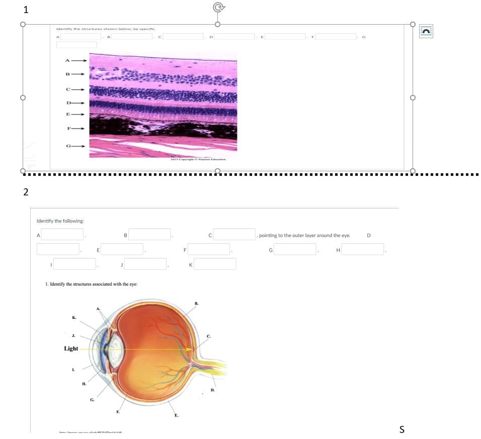 1
dentity the structures shown below, be specifc
A
A
B
C-
D
E-
F
2 e o Pear
2
Identify the following:
, pointing to the outer layer around the eye.
A
B
D
K
1. Identify the structures associated with the eye:
J.
Light
H.
S
