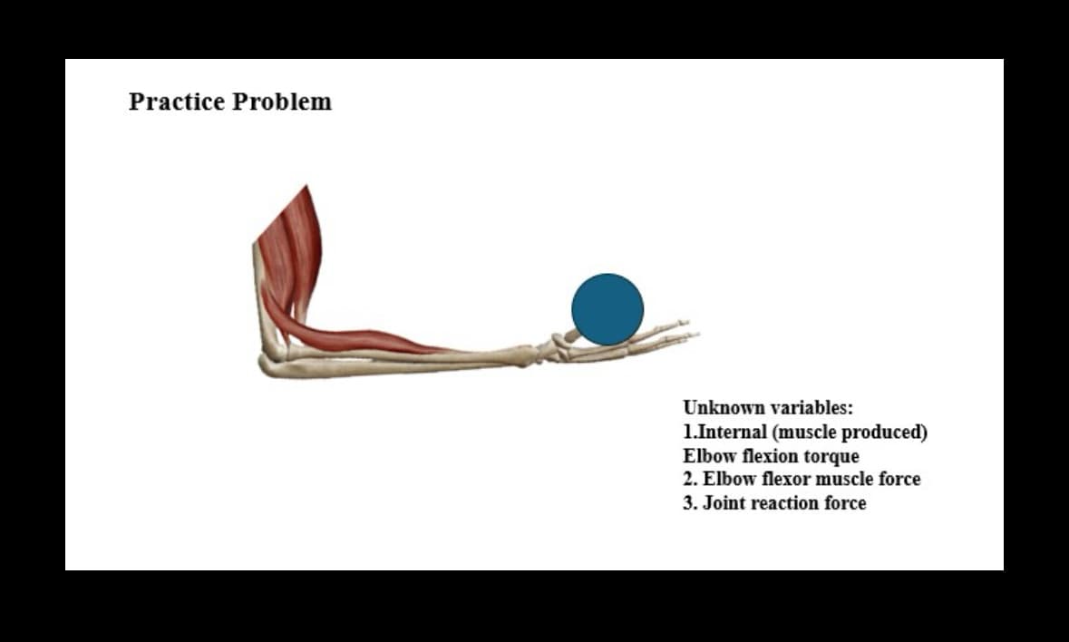 Practice Problem
Unknown variables:
1.Internal (muscle produced)
Elbow flexion torque
2. Elbow flexor muscle force
3. Joint reaction force