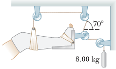 700
8.00 kg
