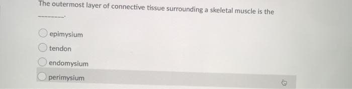 The outermost layer of connective tissue surrounding a skeletal muscle is the
epimysium
tendon
endomysium
perimysium
