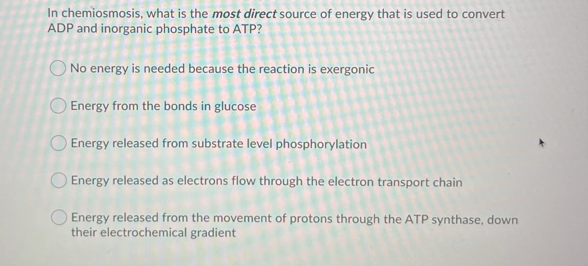 In chemiosmosis, what is the most direct source of energy that is used to convert
ADP and inorganic phosphate to ATP?
O No energy is needed because the reaction is exergonic
Energy from the bonds in glucose
O Energy released from substrate level phosphorylation
Energy released as electrons flow through the electron transport chain
Energy released from the movement of protons through the ATP synthase, down
their electrochemical gradient
