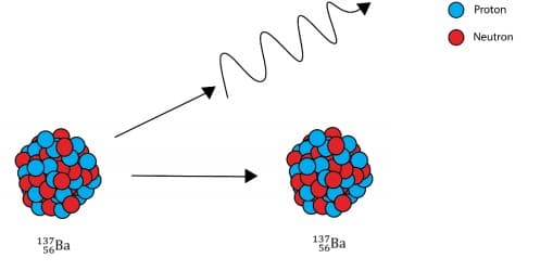 Proton
Neutron
137
56Ba
137
56Ba
