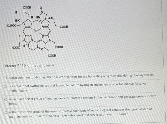 ÇOOH
H.
H HN
CH,
H,C..
H,NOC
COOH
H.
ноос
COOH
COOH
Cofactor F430 (of methanogens)
O is also common to photosynthetic microorganisms for the harvesting of light energy during photosynthesis.
O is a cofactor of hydrogenases that is used to oxidize hydrogen and generate a proton motive force for
methanogens.
O is used in a select group of methanogens to transfer electrons in the membrane and generate protein motive
force.
O is the prosthetic group of the enzyme (methyl coenzyme M reductase) that catalyzes the terminal step of
methanogenesis. Cofactor F430 is a nickel tetrapyrrol that serves as an electron carrier.
