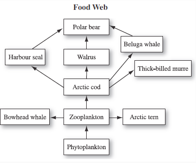 Food Web
Polar bear
Beluga whale
Harbour seal
Walrus
Thick-billed murre
Arctic cod
Bowhead whale
Zooplankton
Arctic tern
Phytoplankton
