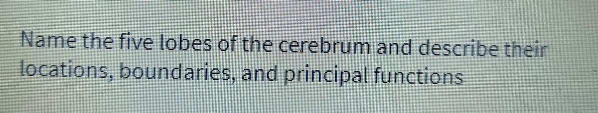 Name the five lobes of the cerebrum and describe their
locations, boundaries, and principal functions