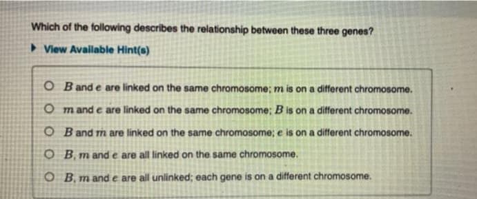 Which of the following describes the relationship between these three genes?
> View Available Hint(s)
O Band e are linked on the same chromosome; m is on a different chromosome.
O m and e are linked on the same chromosome; B is on a different chromosome.
O B and m are linked on the same chromosome; e is on a different chromosome.
O B, m and e are all linked on the same chromosome.
O B, m and e are all unlinked; each gene is on a different chromosome.
